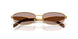 5AK20I - Gold - Light Purple Brown