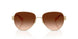 900574 - Gold - Brown Gradient