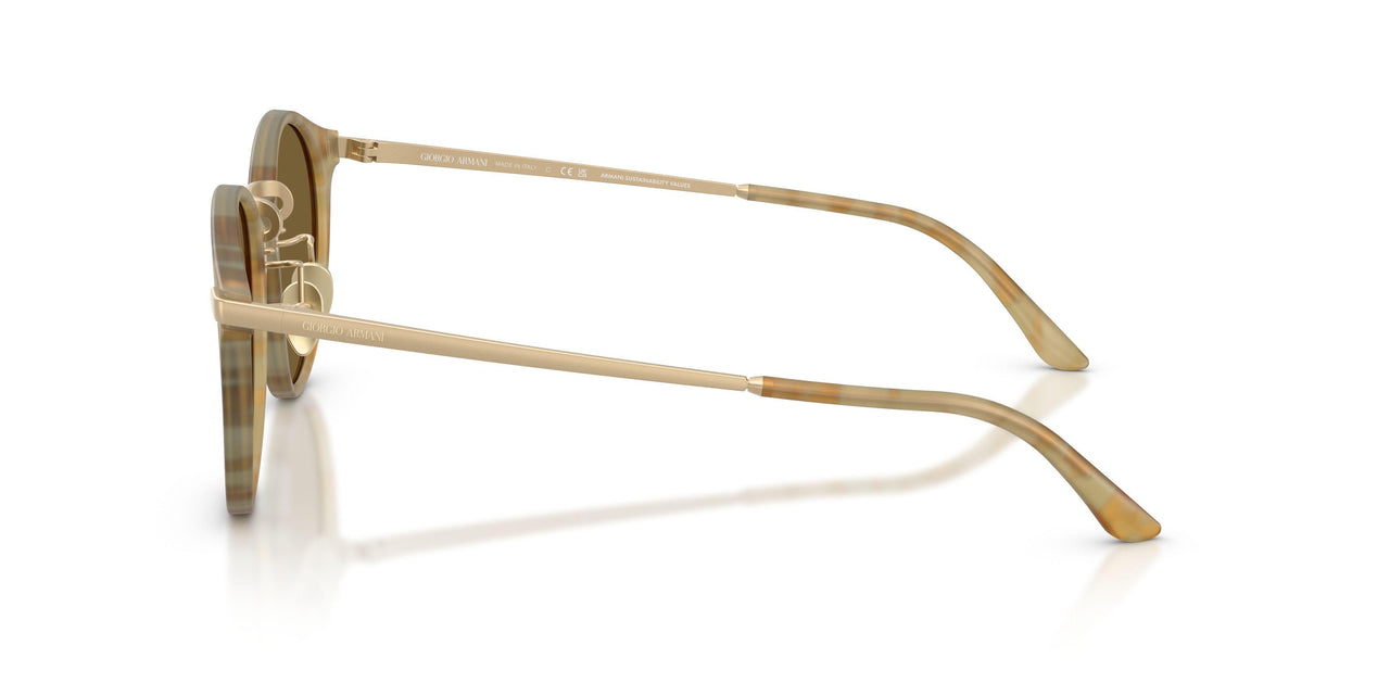 630073 - Beige - Dark Brown
