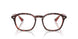 8488 - Tortoise - Clear