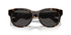 300287 - Brown - Dark Grey