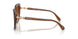 106713 - Brown - Gradient Brown