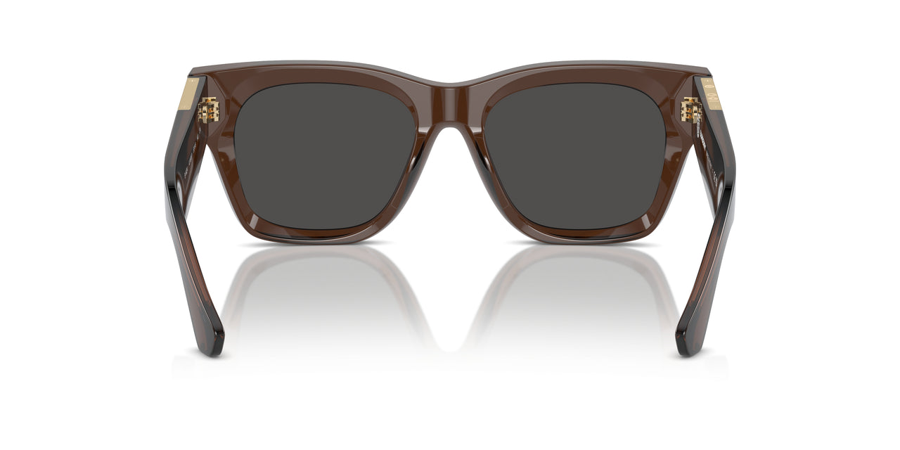 411687 - Brown - Dark Grey