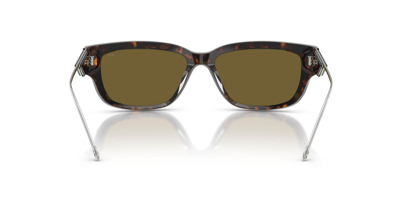 713/73 - Tortoise - Brown