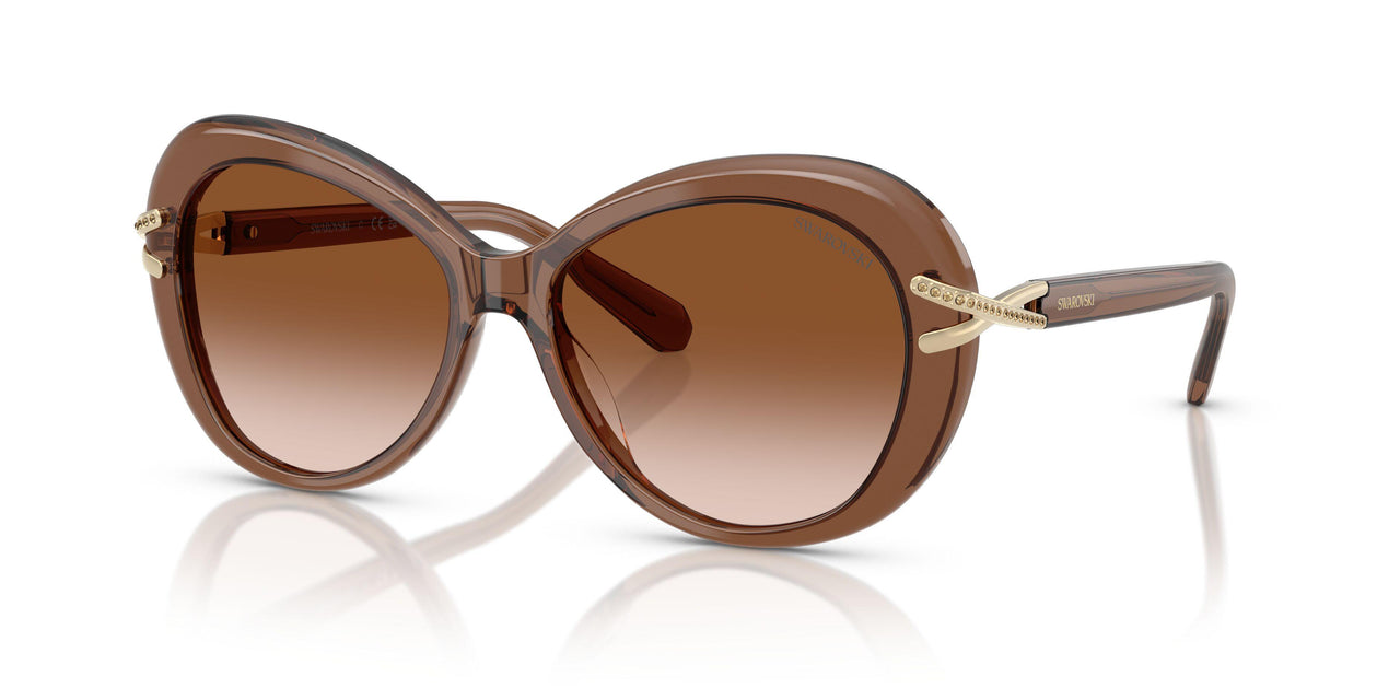 106713 - Brown - Gradient Brown