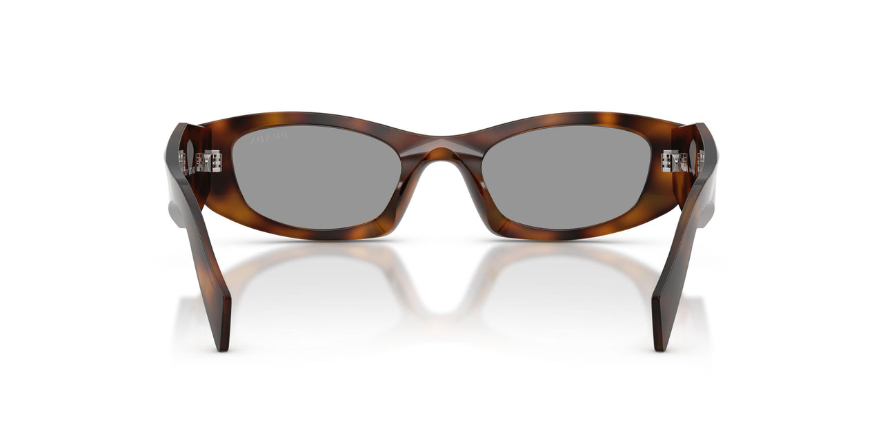 20D50Q - Havana - Grey