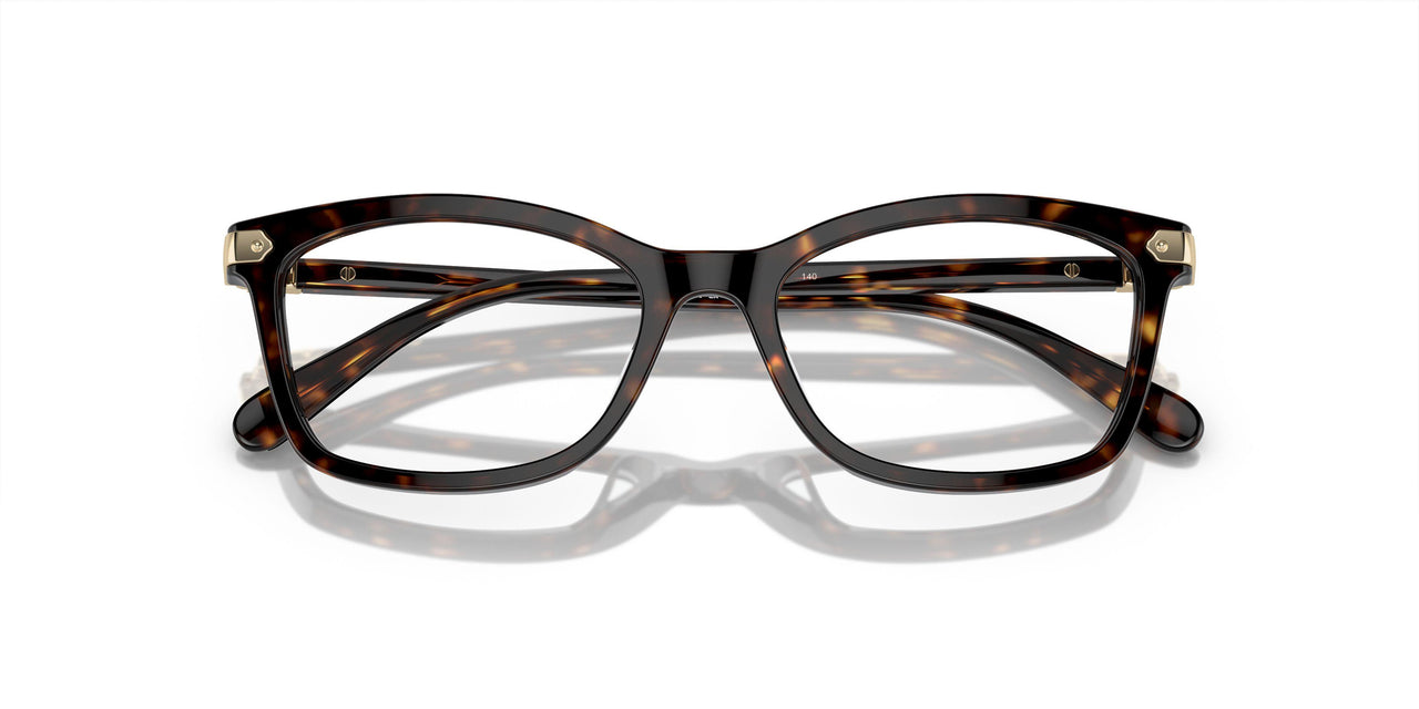 5120 - Tortoise