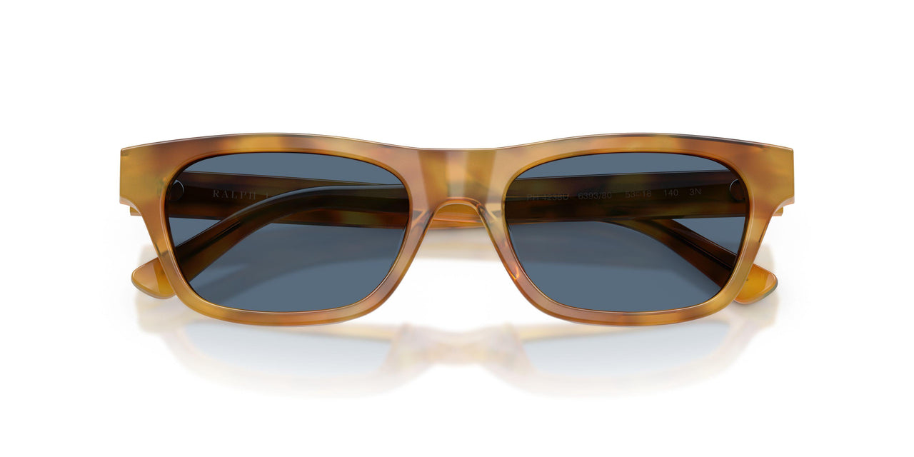 639380 - Tortoise - Dark Blue