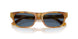 639380 - Tortoise - Dark Blue