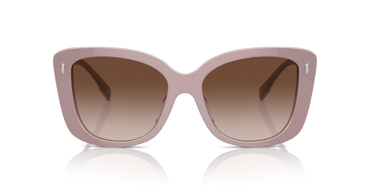 194713 - Pink - Light Brown Gradient Dark Brown