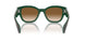 140251 - Green - Clear & Brown