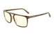 08109 - Sequoia - Clear