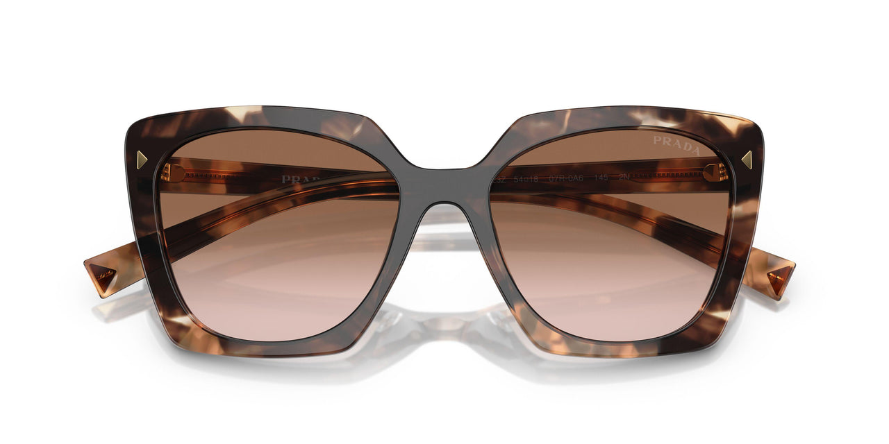 07R0A6 - Tortoise - Brown Gradient