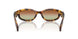 14L70T - Tortoise - Green/brown