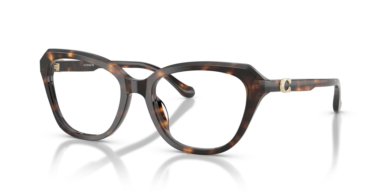 5120 - Tortoise