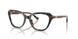 5120 - Tortoise