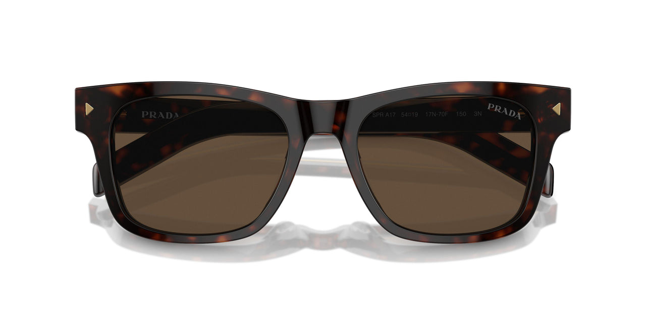 17N70F - Havana - Dark Brown