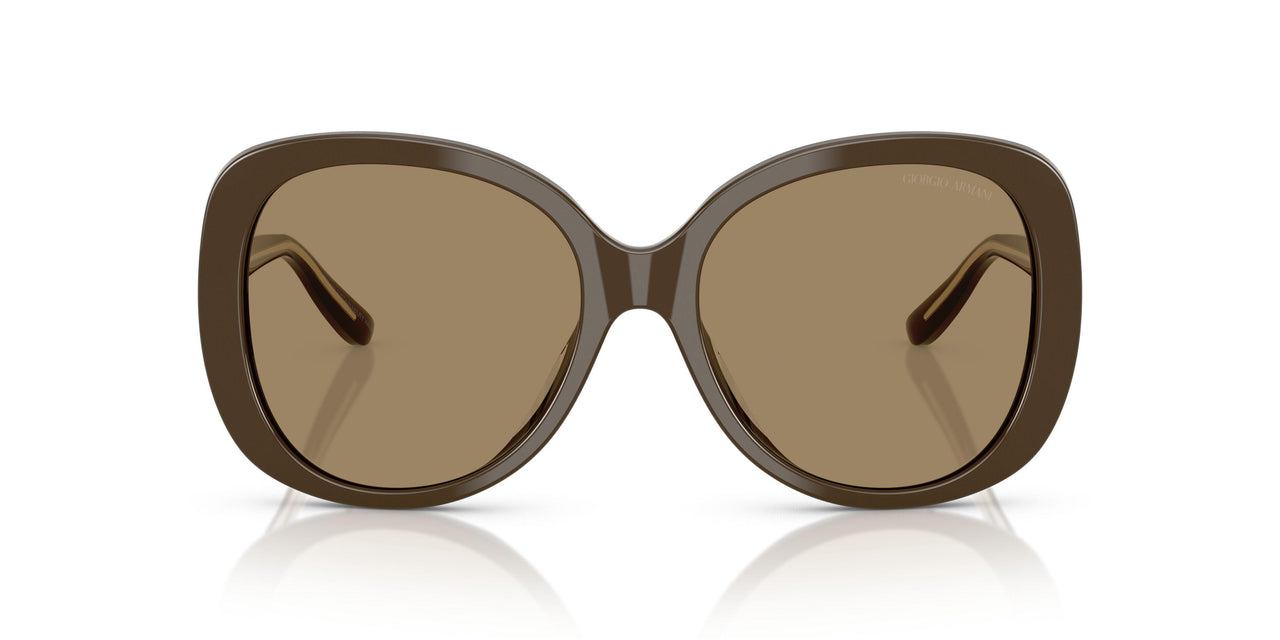595753 - Brown - Brown
