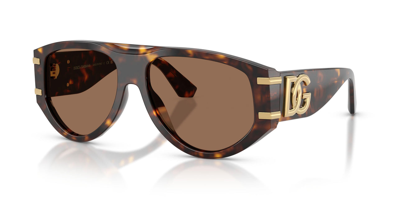 502/73 - Tortoise - Dark Brown