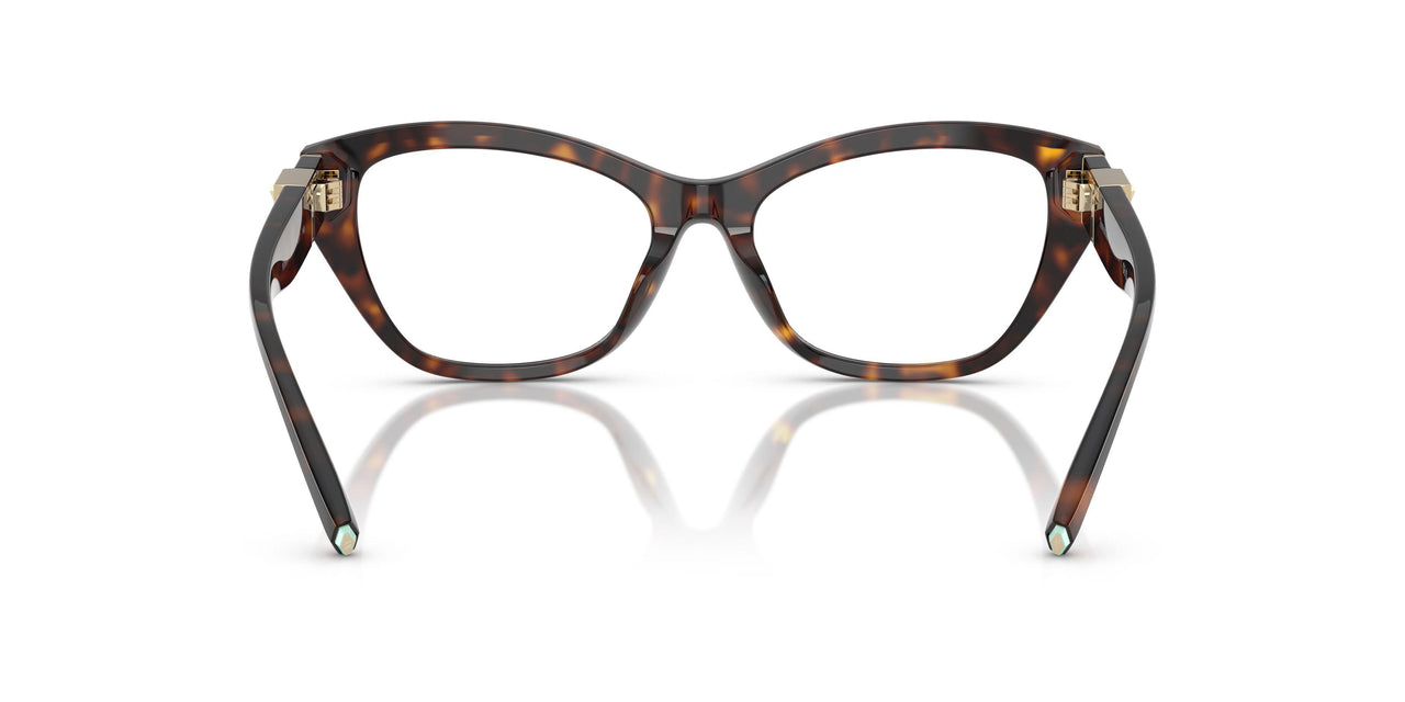 8015 - Tortoise