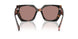 23A60B - Tortoise - Light Brown