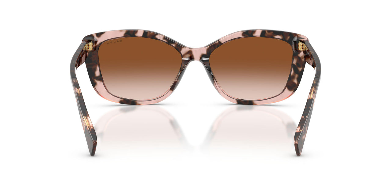 605813 - Tortoise - Gradient Brown
