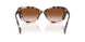 605813 - Tortoise - Gradient Brown