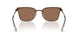 400273 - Brown - Dark Brown