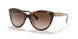 310213 - Havana - Brown Gradient