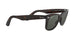 902/58 - Tortoise - Crystal Green Polarized