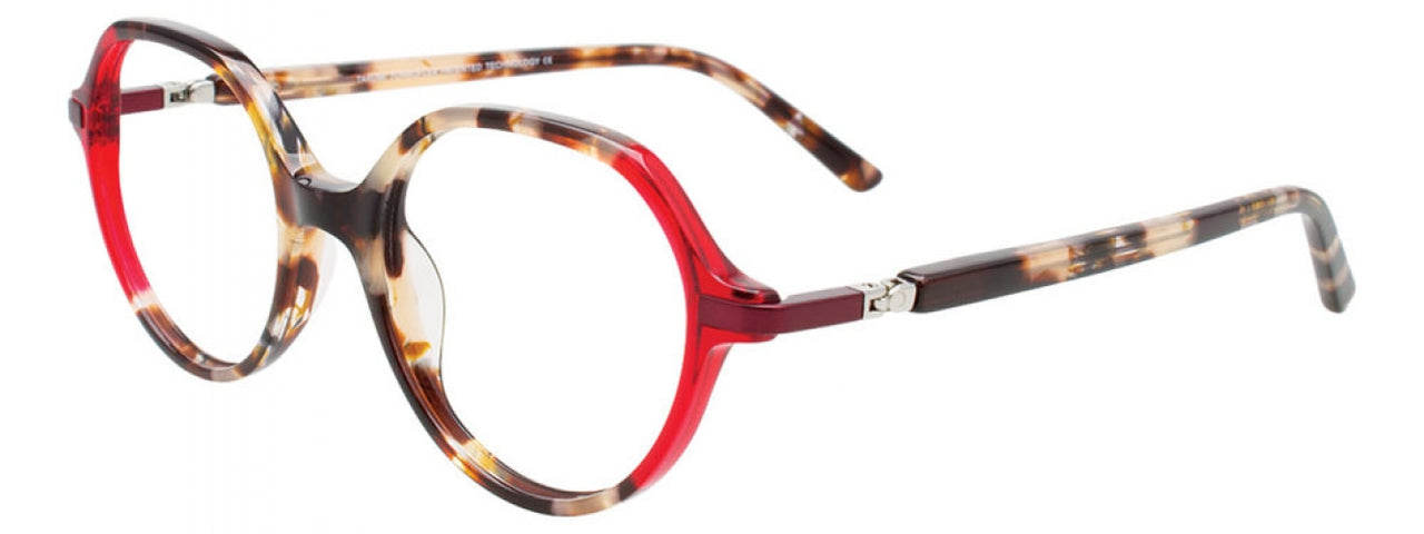 35 - Tortoise & Transparent Red