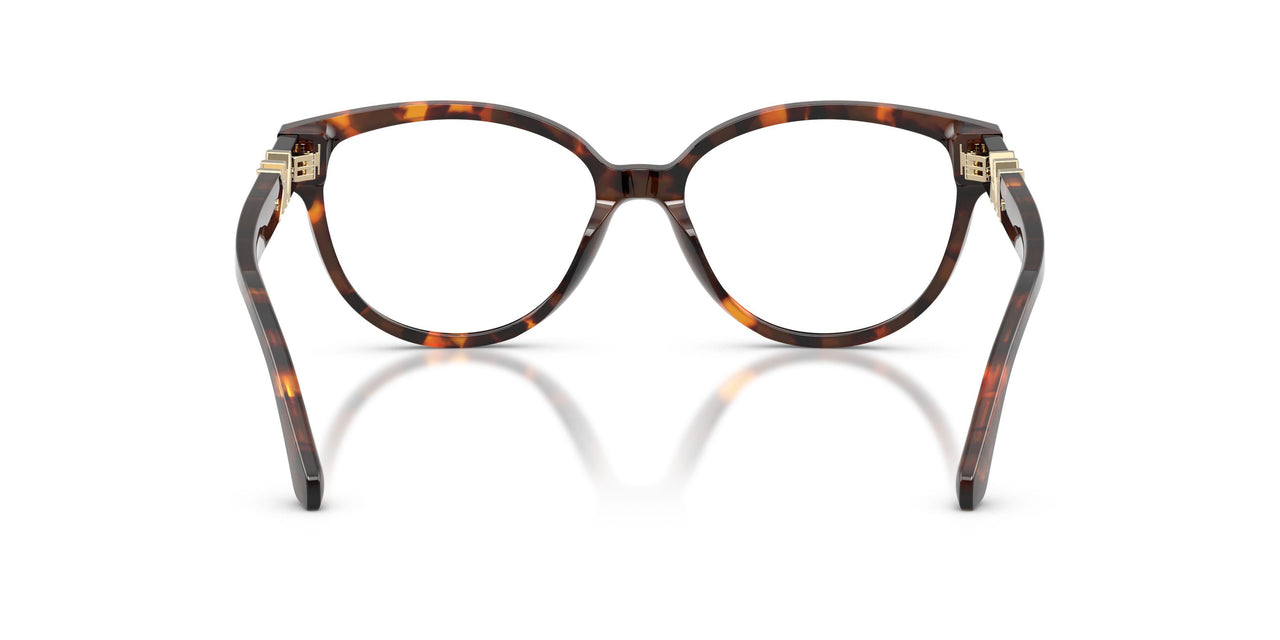 4031 - Tortoise
