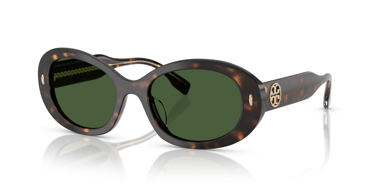 172871 - Tortoise - Dark Green