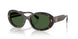 172871 - Tortoise - Dark Green