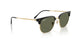 601/58 - Black - Polarized Green