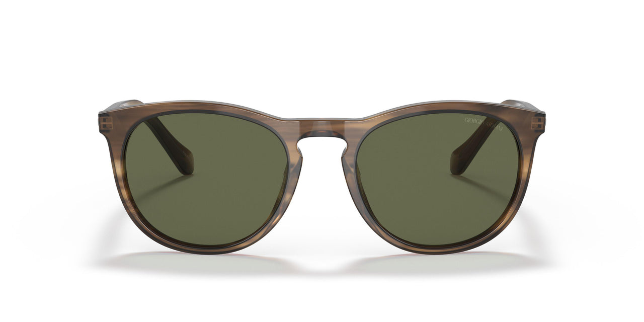 590058 - Brown - Polar Green