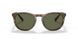 590058 - Brown - Polar Green
