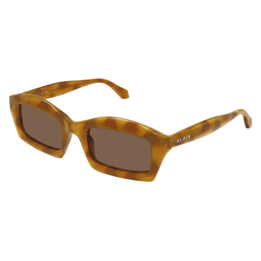 004 - Havana - Brown