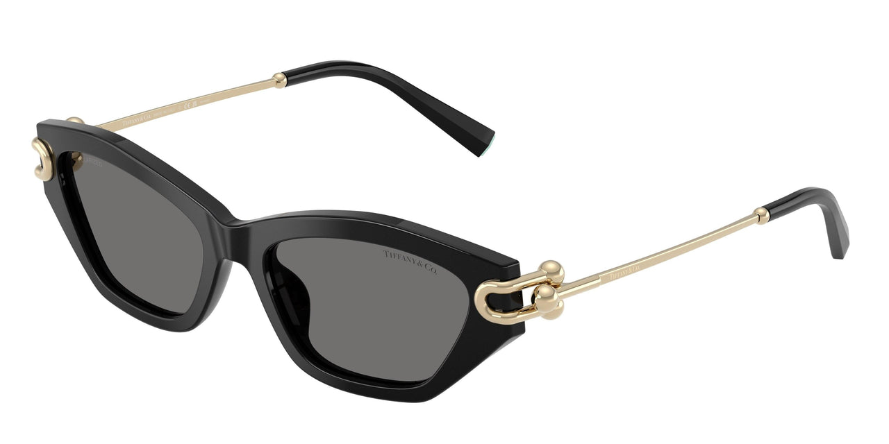 Tiffany 4231U Sunglasses