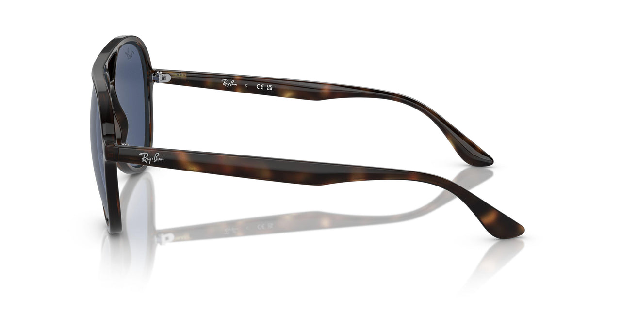 710/80 - Tortoise - Dark Blue