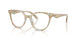 5868 - Brown