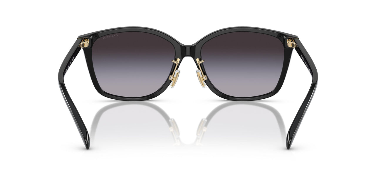 50028G - Black - Grey Gradient