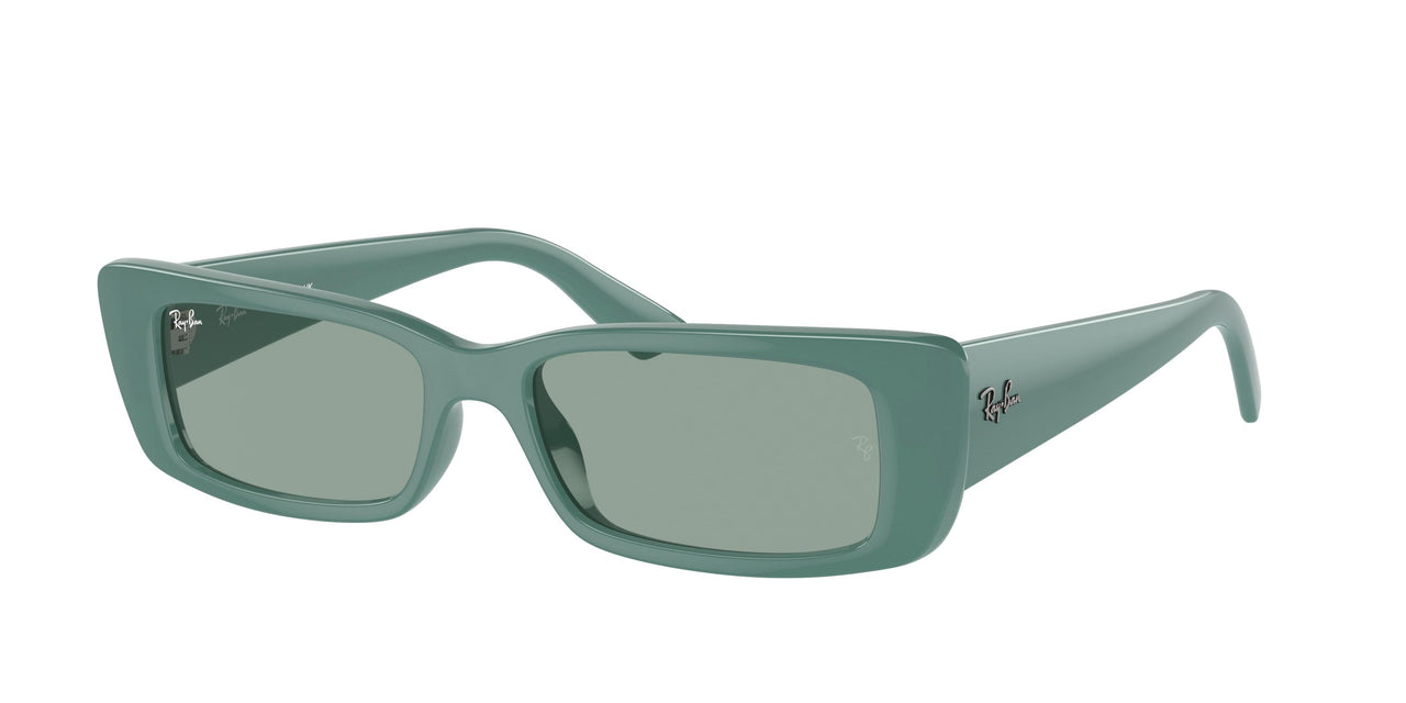 Ray-Ban Teru 4425 Sunglasses