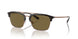 320173 - Brown - Dark Brown
