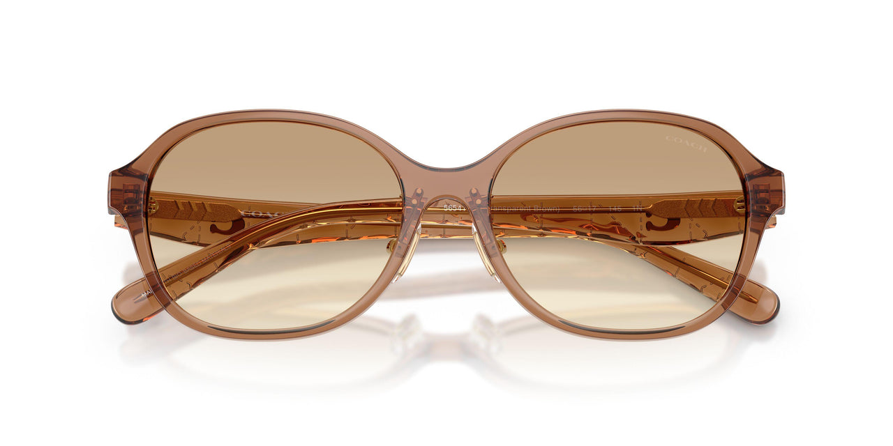565413 - Brown - Clear Brown