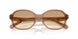 565413 - Brown - Clear Brown