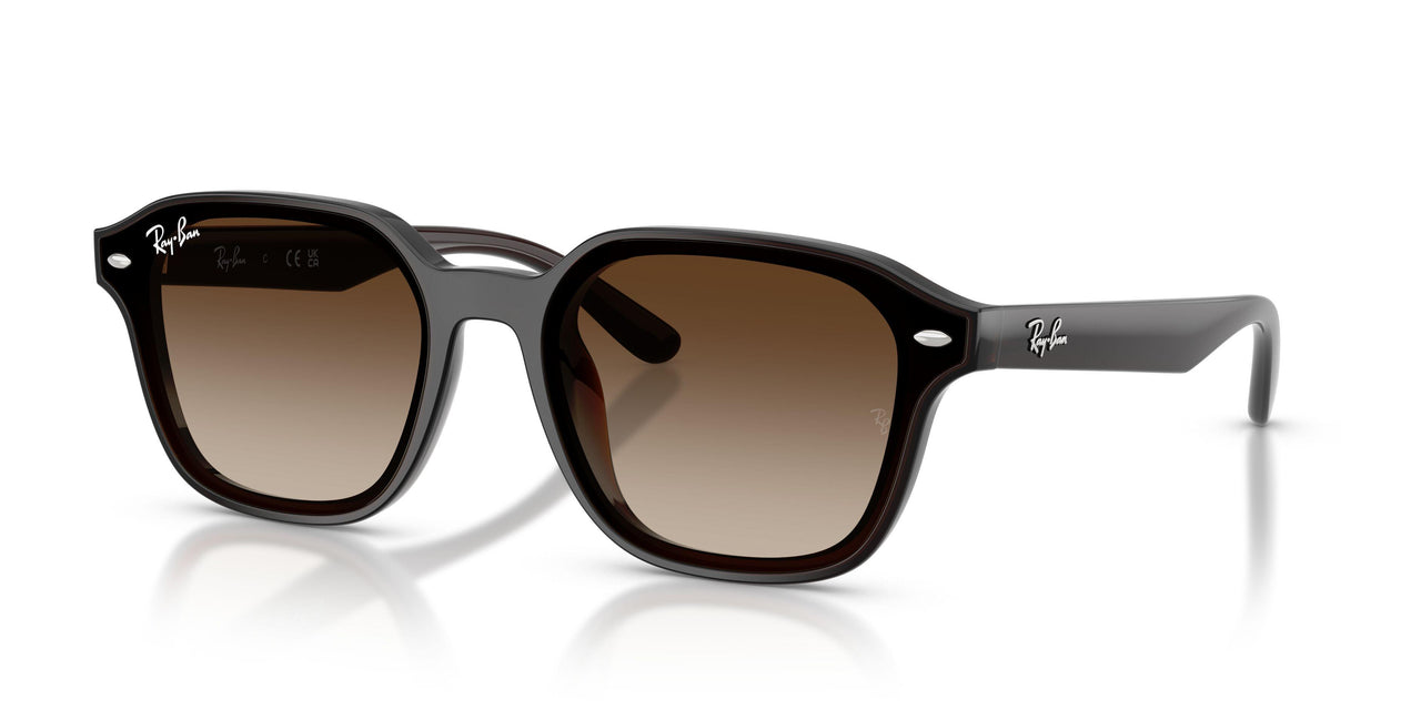714/13 - Brown - Gradient Brown