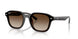 714/13 - Brown - Gradient Brown