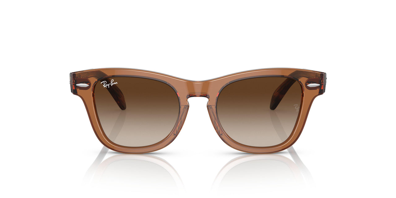 712713 - Brown - Brown Gradient