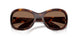 100773 - Tortoise - Brown